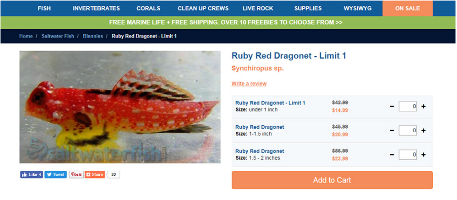 電子商務(wù)產(chǎn)品頁面設(shè)計：網(wǎng)頁設(shè)計師的最佳實(shí)踐和技巧-瑩晨建站-m.prodigallitmag.com