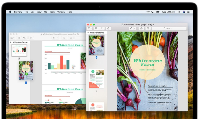 在網(wǎng)頁上使用PDF的提示-瑩晨建站-m.prodigallitmag.com 在網(wǎng)頁上使用PDF的提示-瑩晨建站-m.prodigallitmag.com