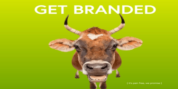 2019年喜愛（和使用）漸變的10個(gè)理由-瑩晨建站-m.prodigallitmag.com