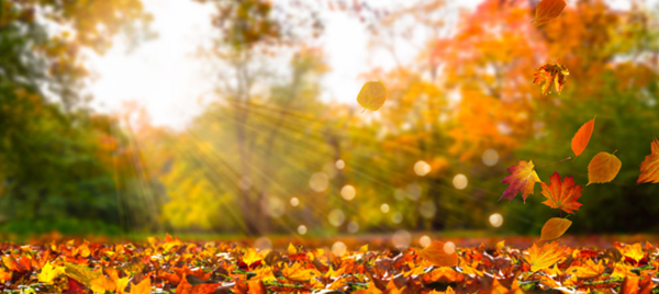 2019年網(wǎng)站設(shè)計新趨勢-瑩晨建站-m.prodigallitmag.com 2019年網(wǎng)站設(shè)計新趨勢-瑩晨建站-m.prodigallitmag.com