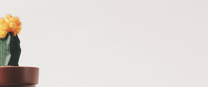 移動設(shè)計中留白設(shè)計定義和重要性-瑩晨建站-m.prodigallitmag.com 移動設(shè)計中留白設(shè)計定義和重要性-瑩晨建站-m.prodigallitmag.com