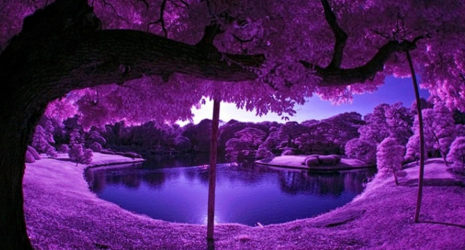 網(wǎng)站設(shè)計(jì)師制作的4種顏色錯(cuò)誤-瑩晨建站-m.prodigallitmag.com